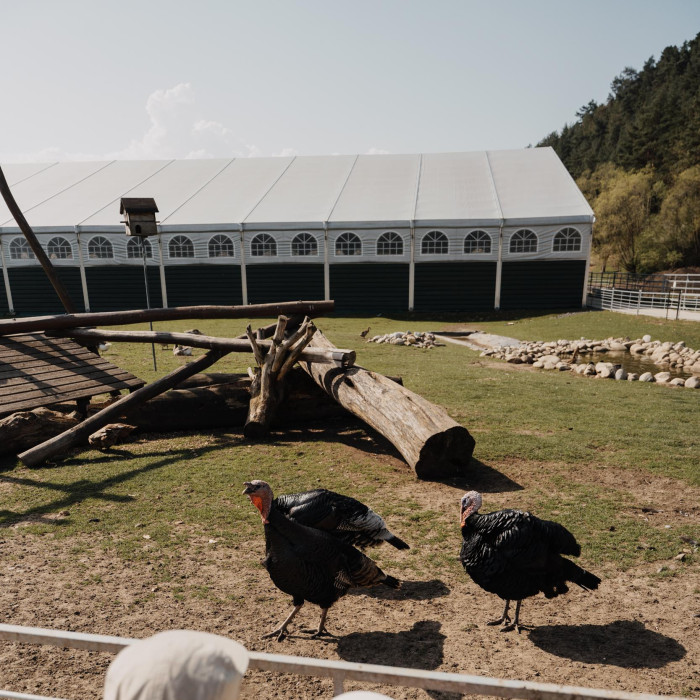 Babyland - outdoor playground